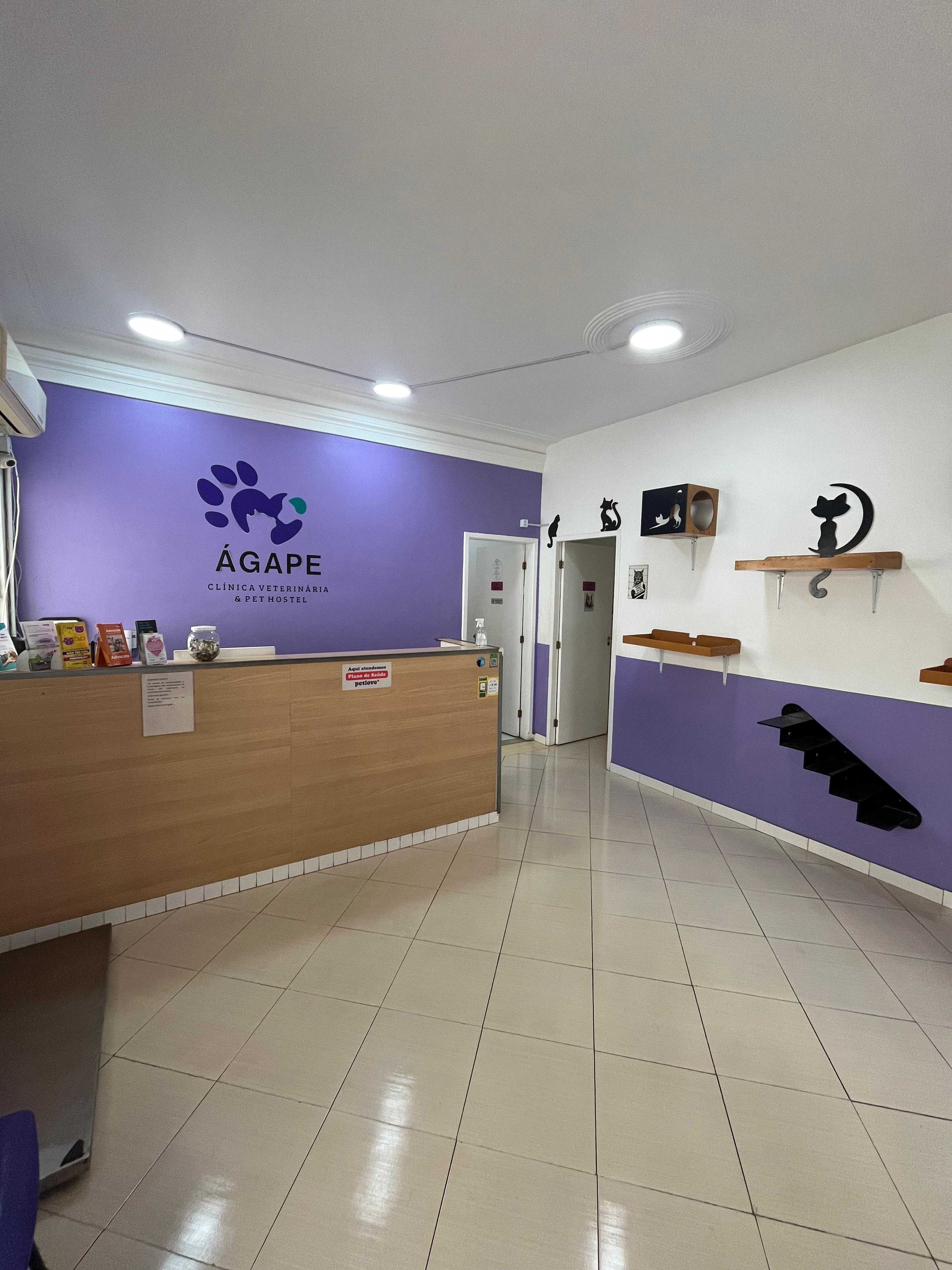 Foto da Galeria