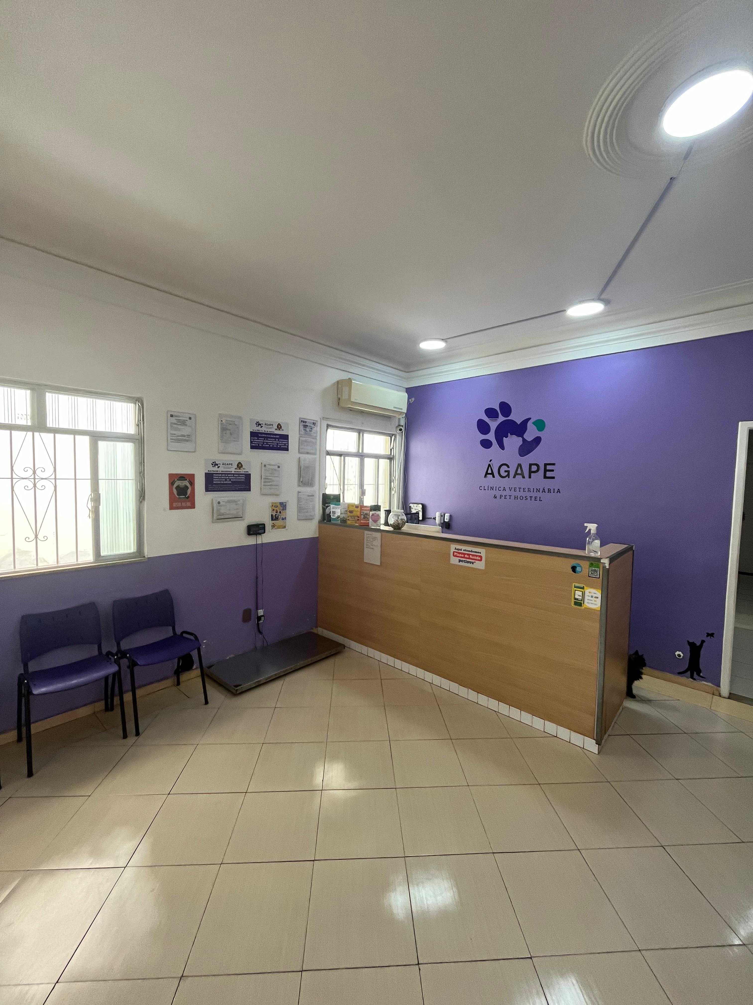 Foto da Galeria